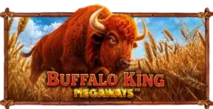 ภาพเกม Buffalo King Megaways ที่ เฮงปัง168 รวบรวมไว้